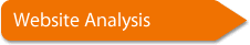 websiteanalysis