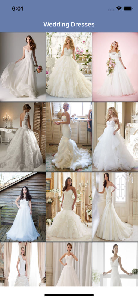 Wedding Dresses App for iPhone,iPad